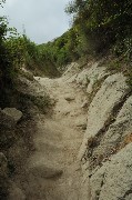 Thumbs/tn_mulattiera_per_cima_vulcanica_Monte Epomeo.jpg